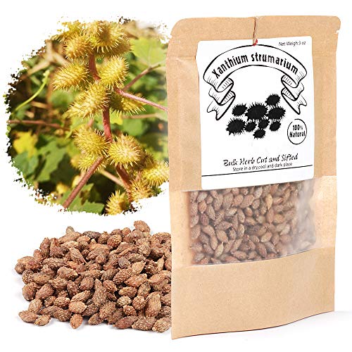 Cocklebur Herb (Xanthium strumarium)