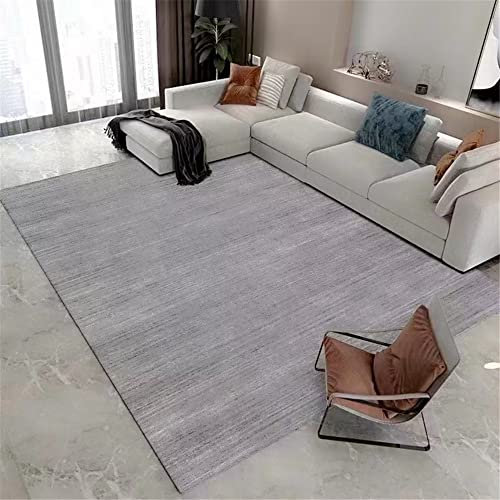 Alfombras Salon 2X3 Gris Marca Xiaosua
