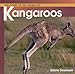 Welcome to the World of Kangaroos (Welcome to the World Series)