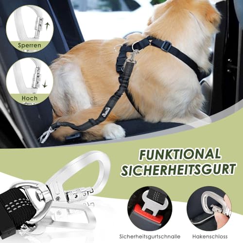 Eyein Hundegeschirr mit Sicherheitsgurt für Auto, 2 Karabinerhaken - verbunden mit Sicherheitsgurt-Schnalle, Kinder-Sicherheitssitz oder Trunk, verstellbare atmungsaktiv Geschirr (Grau, S)