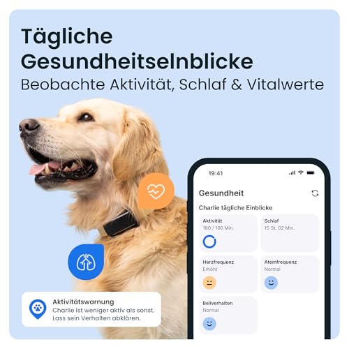 Tractive Smarter Hunde GPS Tracker | Bundle mit Cover | Modell 2025 | Live-GPS-Ortung | Weglaufalarm & Gesundheitswarnungen | Beobachtung der Vitalwerte | Empfohlen von Martin Rütter (Schwarz)