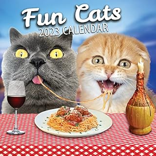 Fun Cats Wall Calendar 2023 - Large Family Planner & Daily Organiser with Funny Monthly Cat Image - Cat Gift, Christmas Stocking Filler & Slim Design 2023 Wall Planner