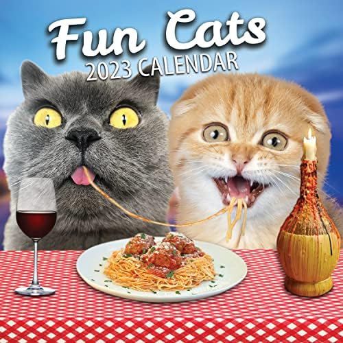 Fun Cats Wall Calendar 2023 - Large Family Planner & Daily Organiser with Funny Monthly Cat Image - Cat Gift, Christmas Stocking Filler & Slim Design 2023 Wall Planner