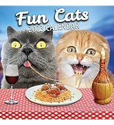 Fun Cats Wall Calendar 2023 - Large Family Planner & Daily Organiser with Funny Monthly Cat Image...