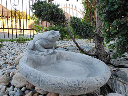 Green Lane Garden Mangiatoia per Uccelli con Rana