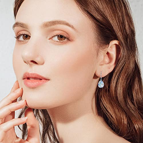 Butterfly Moonstone Earrings 925 Sterling Silver Butterfly Moonstone Leverback Earrings Butterfly Jewelry Gifts For Women Girls #TOP5