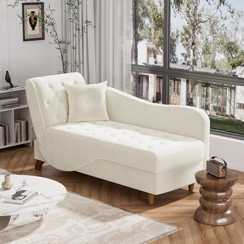 Amazon.com: DAMAIFROM Chaise Lounge Chair Indoor with Storage ...