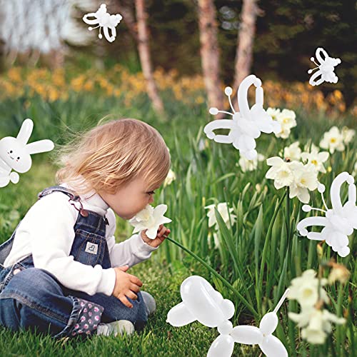 100Pcs clear 260 Balloons Clear Long Skinny Latex Balloon for Animal Ballons, Premium Quality Balloons for Beginners Baloons Making Kid's Carnivals Party Decoartion - Image 3