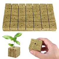 Steinwolle Anzucht 28 Würfel - Steinwolle Cube 4x4x4cm - Anzuchtwürfel, Steinwolle Würfel, Rockwool, Hydrokultur-Systeme für Setzlinge/Klonpflanzen/Schulprojekte, Bodenlose Anzucht