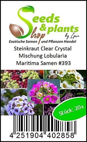 Stk - 20x Steinkraut Clear Crystal Mischung Lobularia Maritima Samen #393 - Seeds Plants Shop Samenbank Pfullingen Patrik Ipsa - Image 5