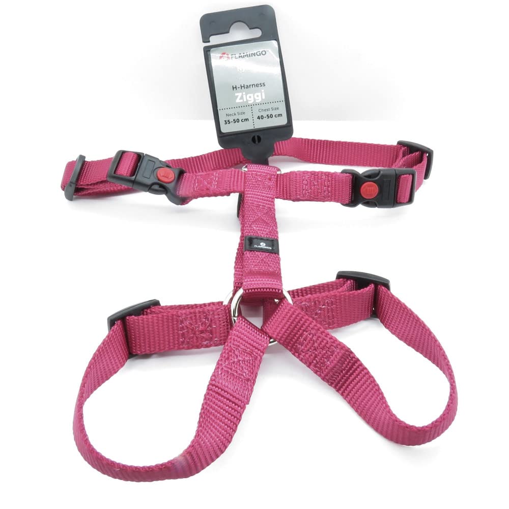 Flamingo Dog Harness H-shape Ziggi Cherry red S 35-50cm 40-50cm 15mm, xs - Image 3