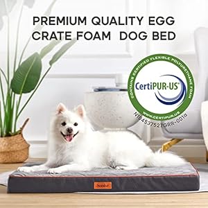 Medium Waterproof Orthopedic Egg Crate Foam Dog&Cat Beds Supportive Dog Bed Matt for Small Dogs Removable Washable Cover Oxford Fabric Bottom & Quilted Velvet Top, Suitable up to 50lbs