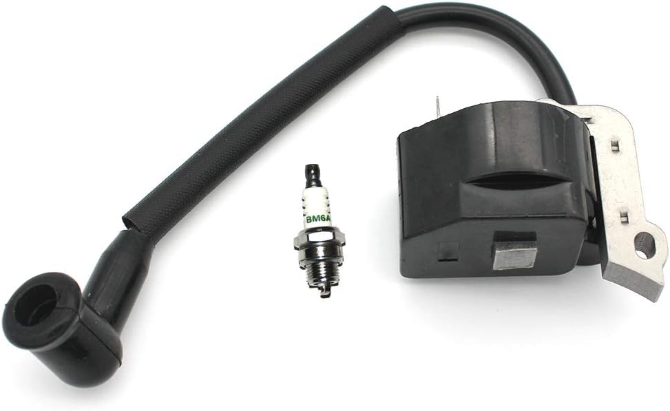 Ignition Coil Module With Spark Plug BM6A For Stihl BG45 BG45-C BG46 BG46DZ BG46Z BG55 BG55C BG55-Z BG65 BG65DZ BG85 BG85C BG85-DZ BG95-Z BR45C SH55 SH85 Blower PN# 4229 400 1300 NGK BPMR7A
