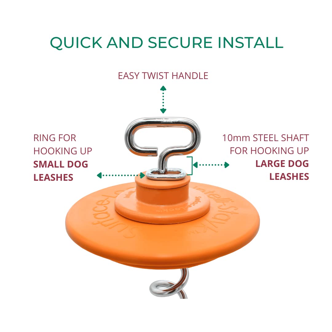 Intellileash Products Intelli-Stayk Hunde-Spannpfahl mit spezieller Surface Lock Technologie verhindert Herausziehen und Verbiegen (Intelli-Stayk with Beast Dog Surface-Lock)