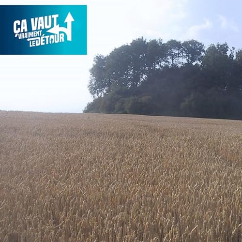 Awans vaut vraiment le Détour (1) : Balles de golf, guerre de famille et Qualité village Othée