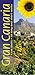 Produktbild Rochford, N: Gran Canaria: 5 car tours, 50 long and short walks (Landscapes)