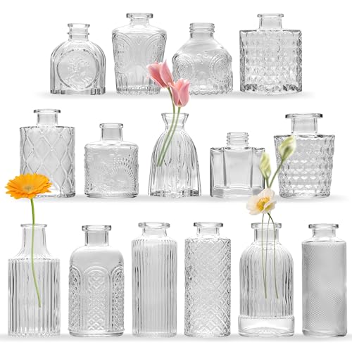15 Pcs Glass Bud Vase Set,Assorted Clear Glass Vases for