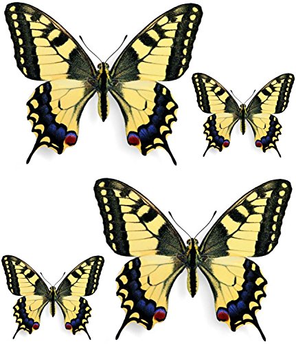 Akachafactory Set 4X Autocollant Sticker Voiture Moto Deco Papillon Jaune Bleu Rouge
