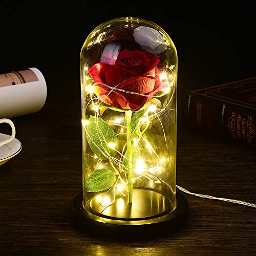 Christmas Decor Beauty and The Beast Rose Kit Red Artificial Flower Rose Gift for Wife with Led Light in Glass Dome for Christmas Valentine's Day Forever Rose Lights Eternal Rose (Black)