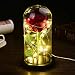 Beauty and The Beast Rose Kit,Enchanted Rose,Eternal Rose,Red Silk Rose,Forever Rose in Glass Dome with Led Light in Glass Dome On Wooden Base (Beauty and The Beast Black)