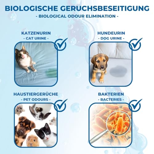 PandaCleaner Bio Urin Attacke gegen Katzenurin Hundeurin & Tiergerüche - Mittel gegen Katzenurin - 1000ml Konzentrat zum Uringeruch entfernen - Mikroorganismen Reiniger