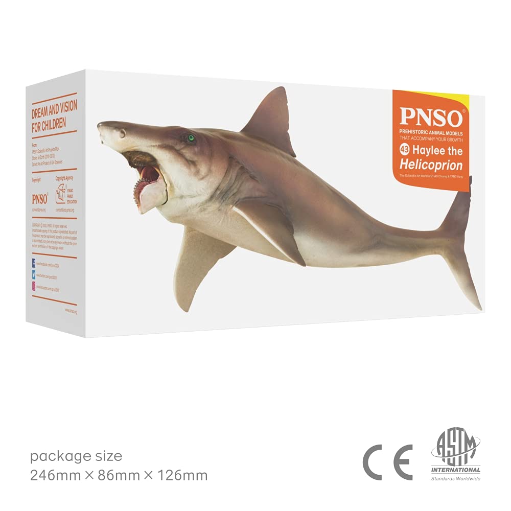 AMITD Prehistoric Animal Models (43 Haylee The Helicoprion)