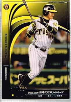 51L3MUaiLIL._AC_UF350,