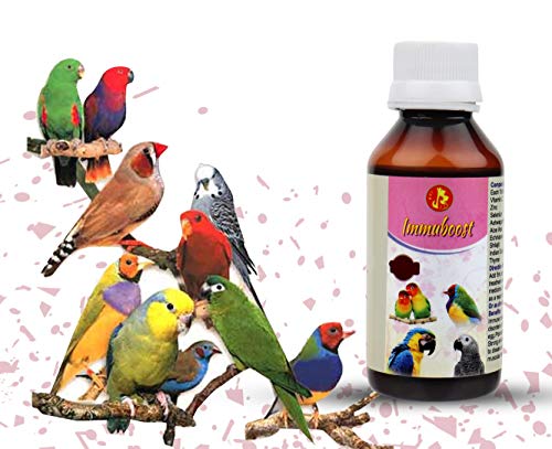 Image of Pet Care International (PCI) ImmuBoost || Provide Essential Vitamins || Healthy Bird Healthcare (30 ML, Immuboost)
