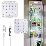 DOMMIA Grow Lights for Indoor Plants, 15W Full Spectrum with Optical Lens, Adjustable Brightness and Timer, Compact Plant Light for Indoor Growing (Natural White)