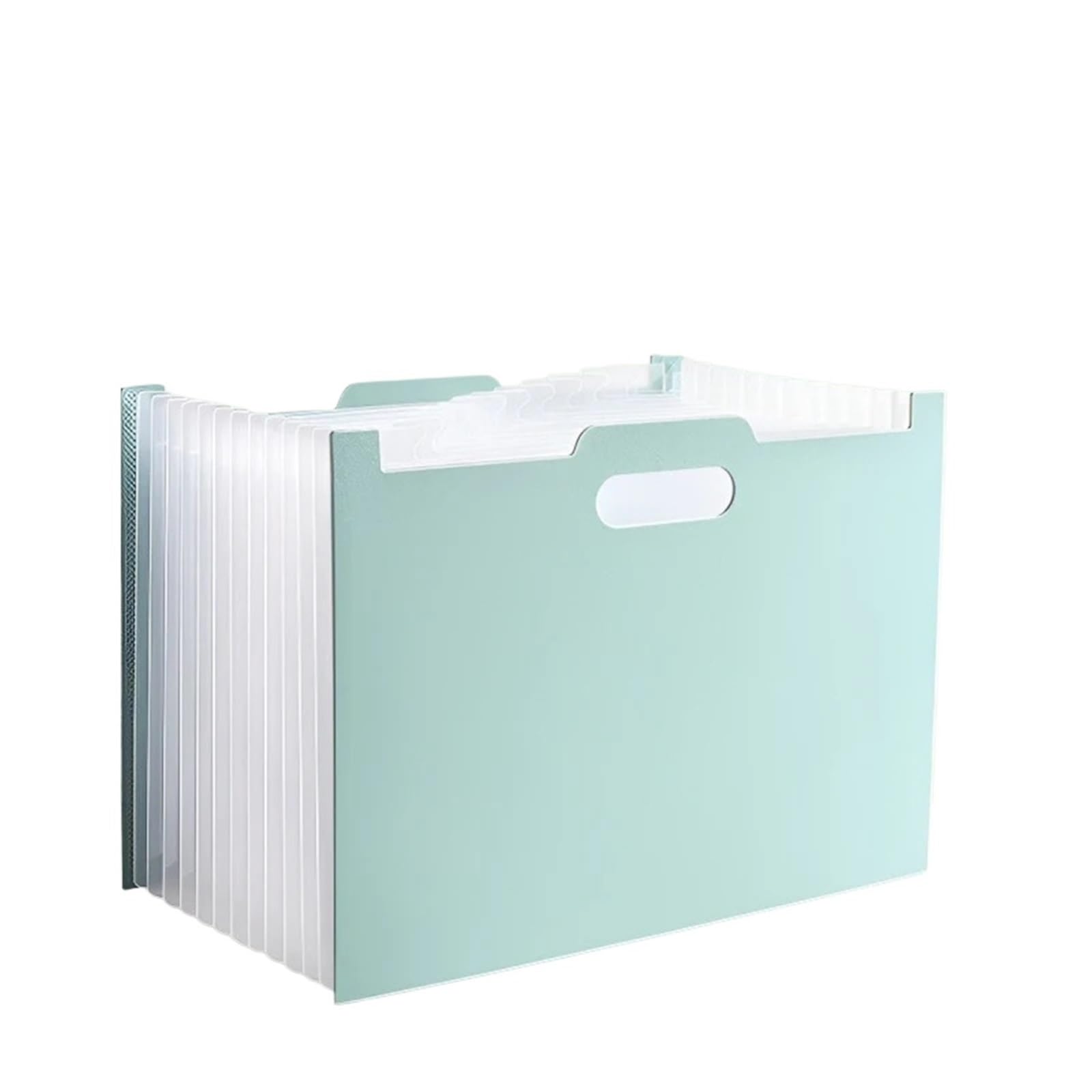Carpeta expansible, Organizador de Archivos expandible en acordeón con 13 Bolsillos, Tapa Abierta Vertical, Letra A4, Multicolor, for Oficina(Green)