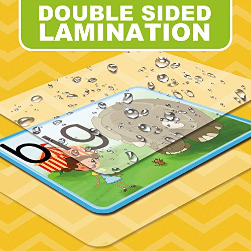 Kmuysl Sight Words Flash Cards - 220 Dolch Sight Words English Learning Cards Games With Pictures,Motions & Sentences For Kids Ages 4-8, Pre K, Preschool, Kindergarten, 1St, 2Nd & 3Rd Grade #TOP2