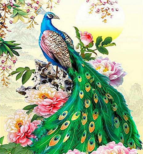 Kit d'art diamant paon fleuri 30x40 cm pour décoration salon