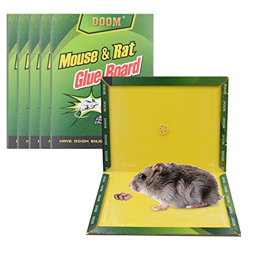 CRANACH 5 Piece Mouse Trap, Glue Boards CRANACH 5 Piece Mouse Trap, Glue Boards