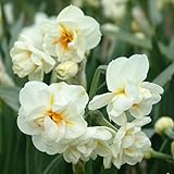 QFB Gardening