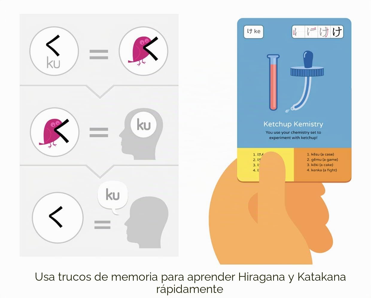 Dr. Moku Hiragana y Katakana Flashcards – Japonés para Principiantes - Aprende japonés con Trucos de Memoria mnemotécnicos