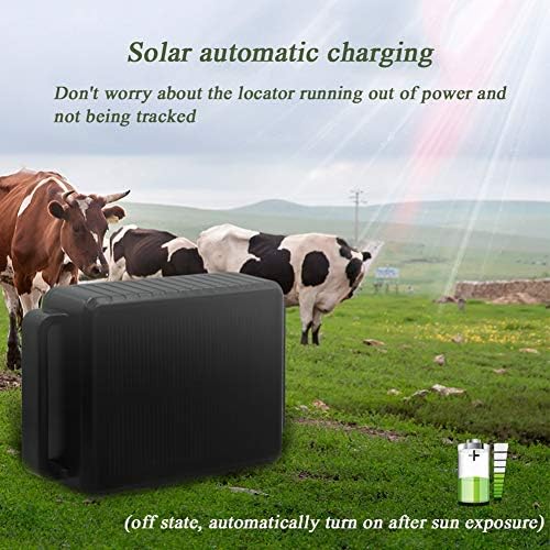 Collare GPS di localizzazione per bestiame e pecore, ricarica solare automatica, design impermeabile, monitoraggio sempre e ovunque – Dispositivo antifurto dedicato al ranch