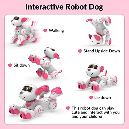 La Mejor comparativa de Teksta perro robot de esta semana. 23 Imagen adicional