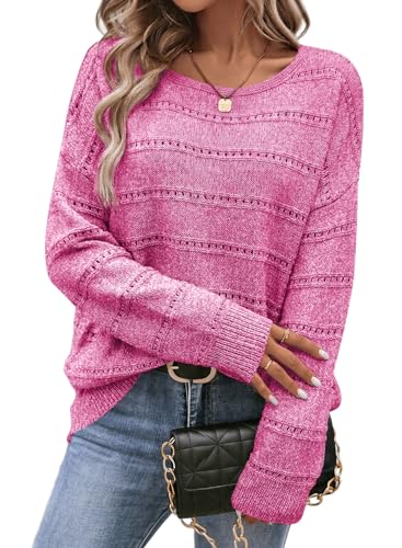 Image of SHEWIN Women's Sweaters Crew Neck Crochet Sweater Lightweight Knit Long Sleeve Tops Shirts Loose Fit Spring 2026