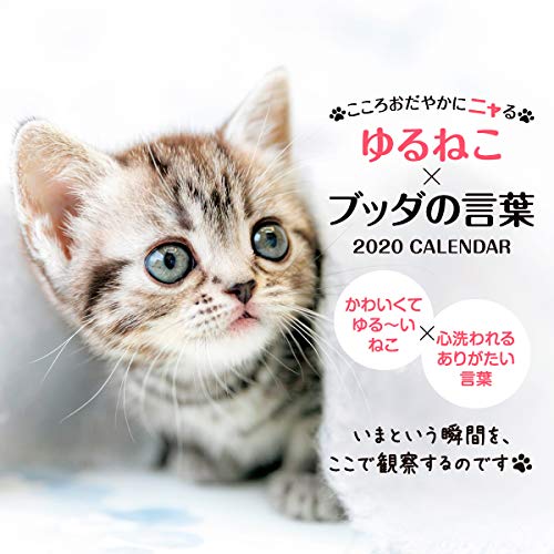 無料電子書籍 アプリ こころおだやかにニャる ゆるねこ×ブッダの言葉 (インプレスカレンダー20 バイ