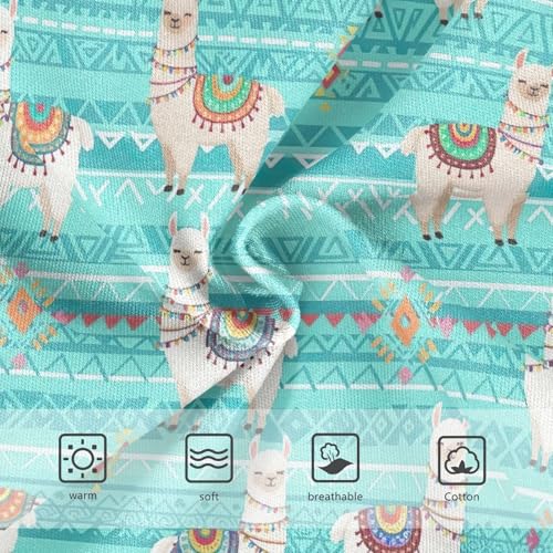Joisal Cute Llamas Colorful Fringe Panties Little Girl Toddler Girls Underwear Cotton Cartoon Briefs Kids Undies 2t3