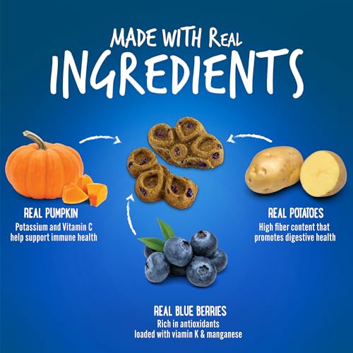 Fruitables Biggies™ Pumpkin Blueberry Dog Treats