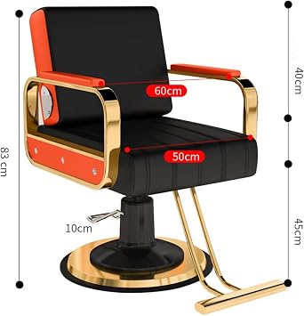 Barber Chair Hair Salon Chair with Heavy Duty Hydraulic Pump,Stainless Steel Footrest,Styling Chair for Beauty Spa Hairdressing Braiding,Black b,C