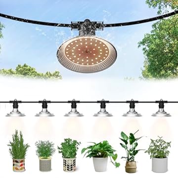 best grow lights for outdoor plants that will transform your garden 2 best grow lights for outdoor plants