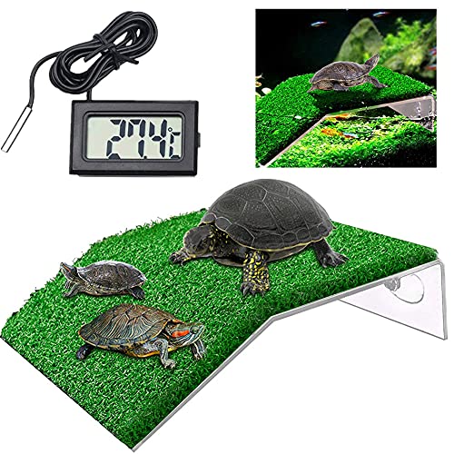 ^[gvbgtH[ T    n V o B J xeeX T̓Ȃڂ hbN n ঒  @\ zՎ ~ RX ʒu lHΎ ɂ ʂȕi   