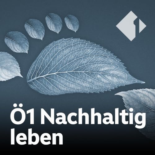 &bdquo;Nat&uuml;rlicher&ldquo; Geigen-Klang