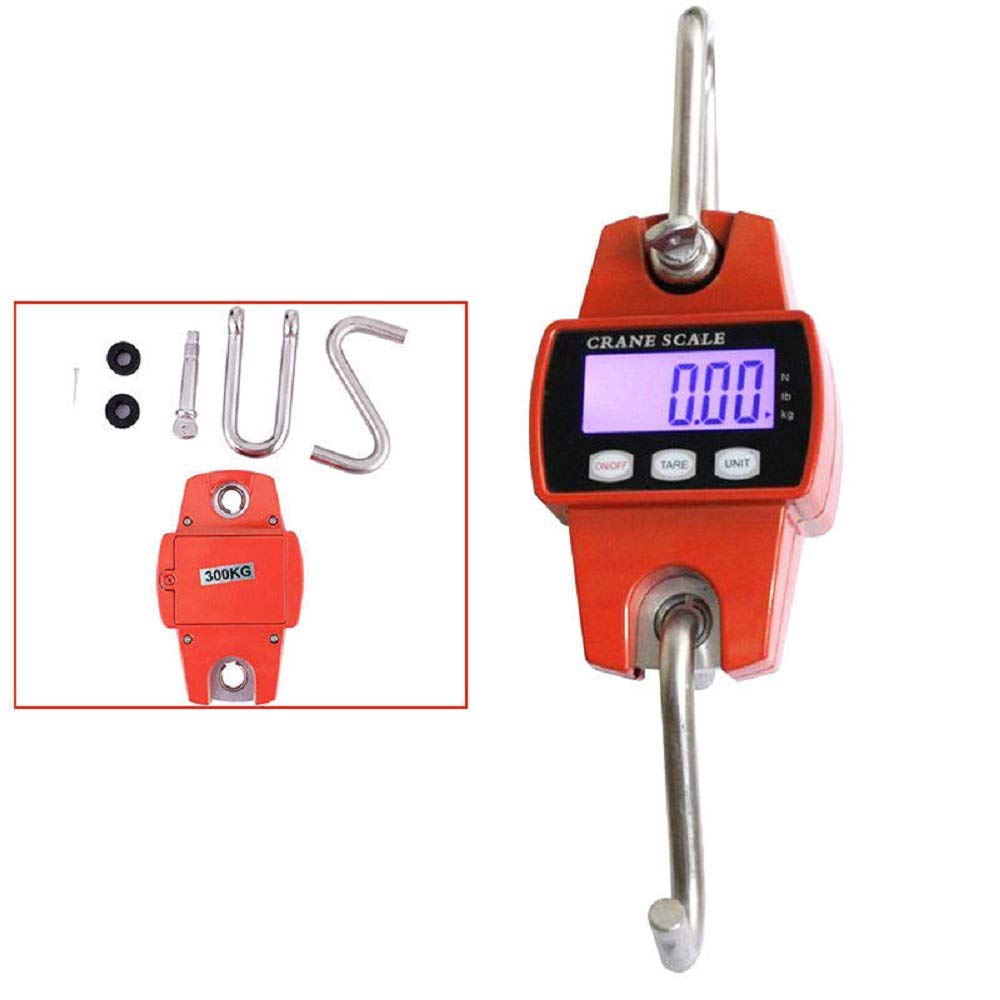 Dynamomètre professionnel numérique 300KG/100g avec affichage LCD