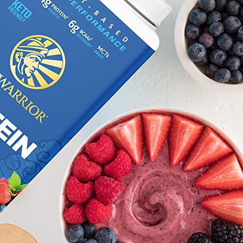 Sunwarrior Vegan Protein Powder With Bcaa | Organic Hemp Seed Protein Gluten Free Non-Gmo Dairy Free Soy Sugar Free Low Carb Plant Based Protein Powder | Berry 30 Srv 750 G | Warrior Blend #TOP4