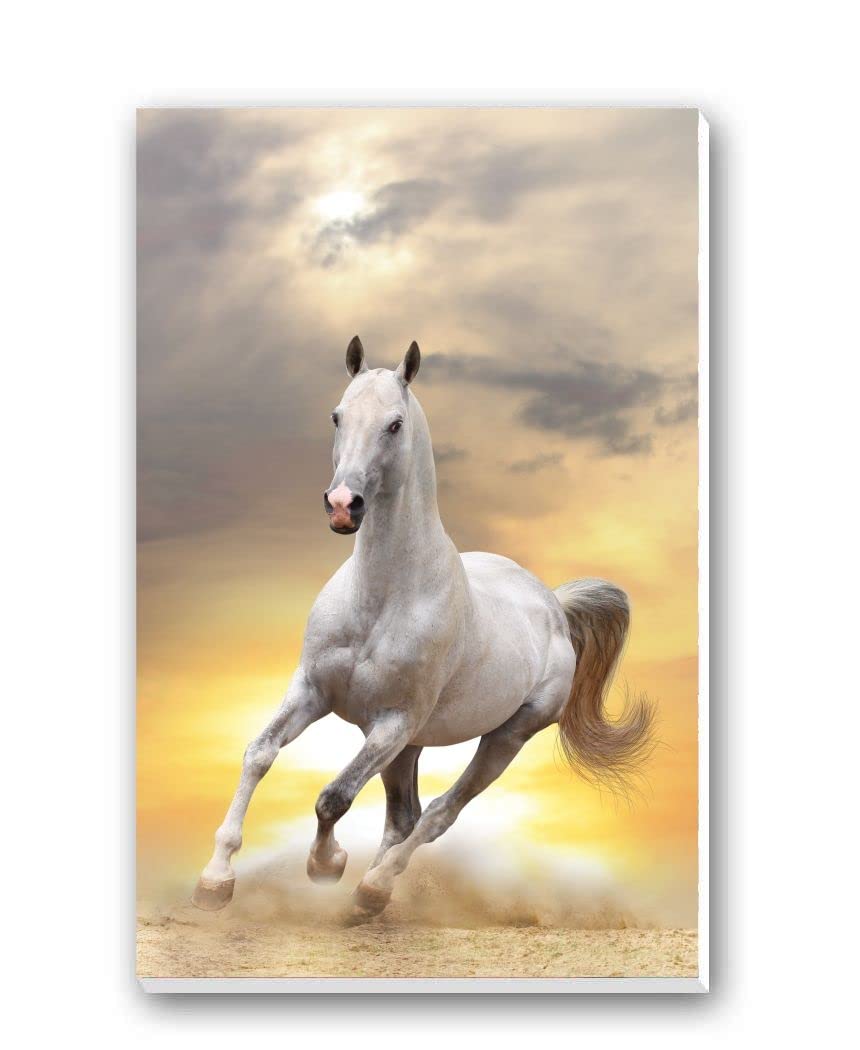 Springbok Horse Bridge Tally Sheets