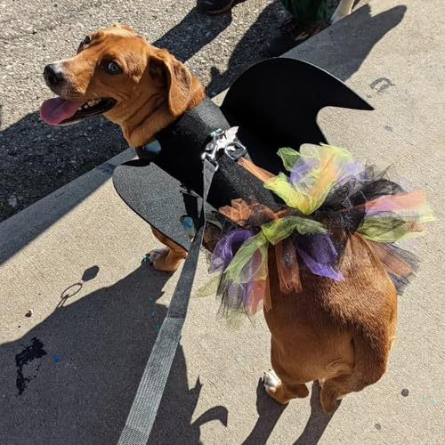 Mascotas, Pet Products Imagen adicional