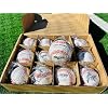 Rawlings | USSSA Baseballs | Competition Grade | ROLB1USSSA | Youth/14U | Multiple Count Options